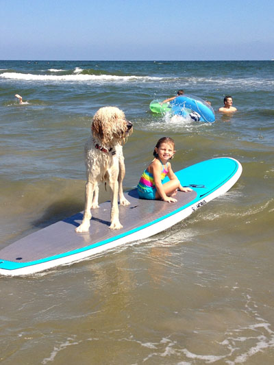 Galveston Island, TX Has 32 Miles of Dog Friendly Beaches